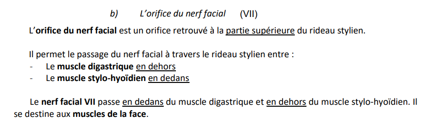 nerf facial.png