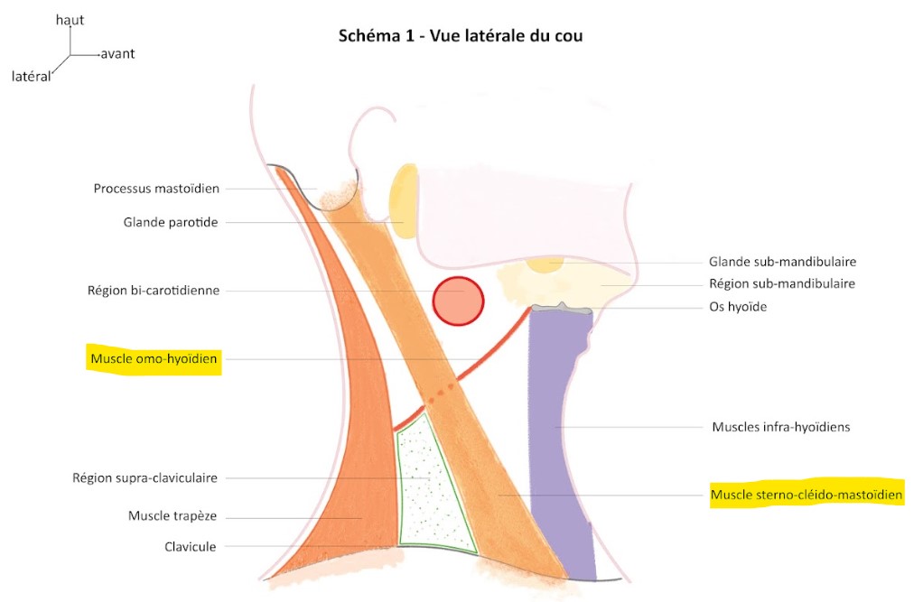 Réponse Julia 0.jpg