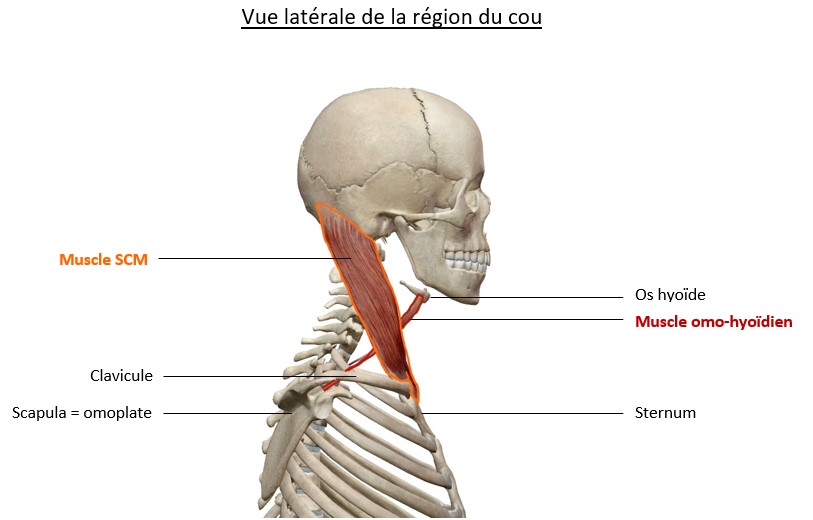 Réponse Julia 1.jpg