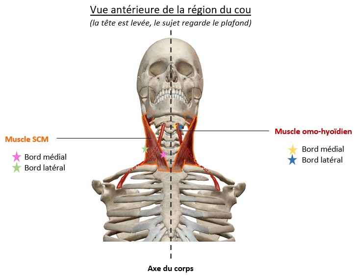 Réponse Julia 2.jpg