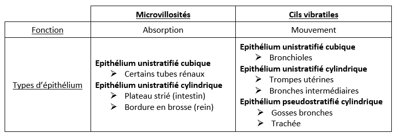 tableau histo forum 2.png