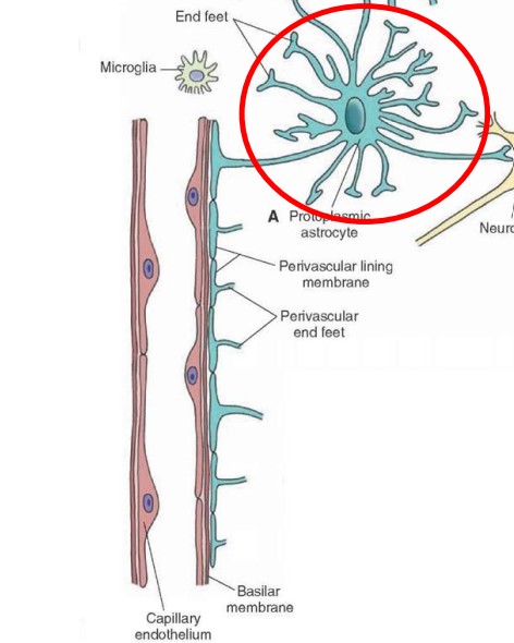 Capture d’écran 2023-02-21 231715.jpg