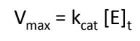 Kcat.JPG
