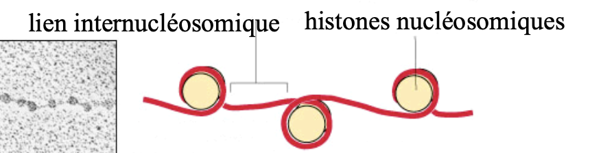 Capture d’écran 2023-03-17 à 14.10.16.png