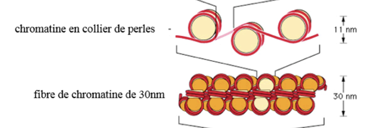 Capture d’écran 2023-03-17 à 14.10.59.png