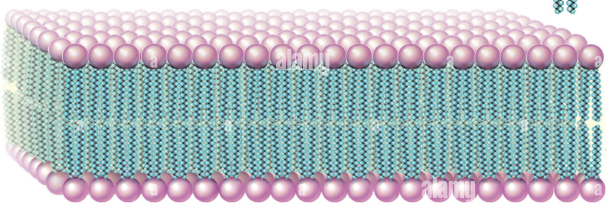 Capture d’écran 2023-03-23 à 16.10.31.png
