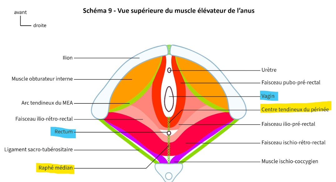 Réponse 2119.jpg