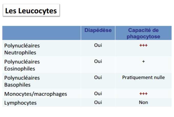 Capture d’écran 2023-03-27 à 18.03.26.png