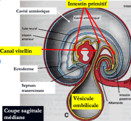 Capture d’écran (242).png