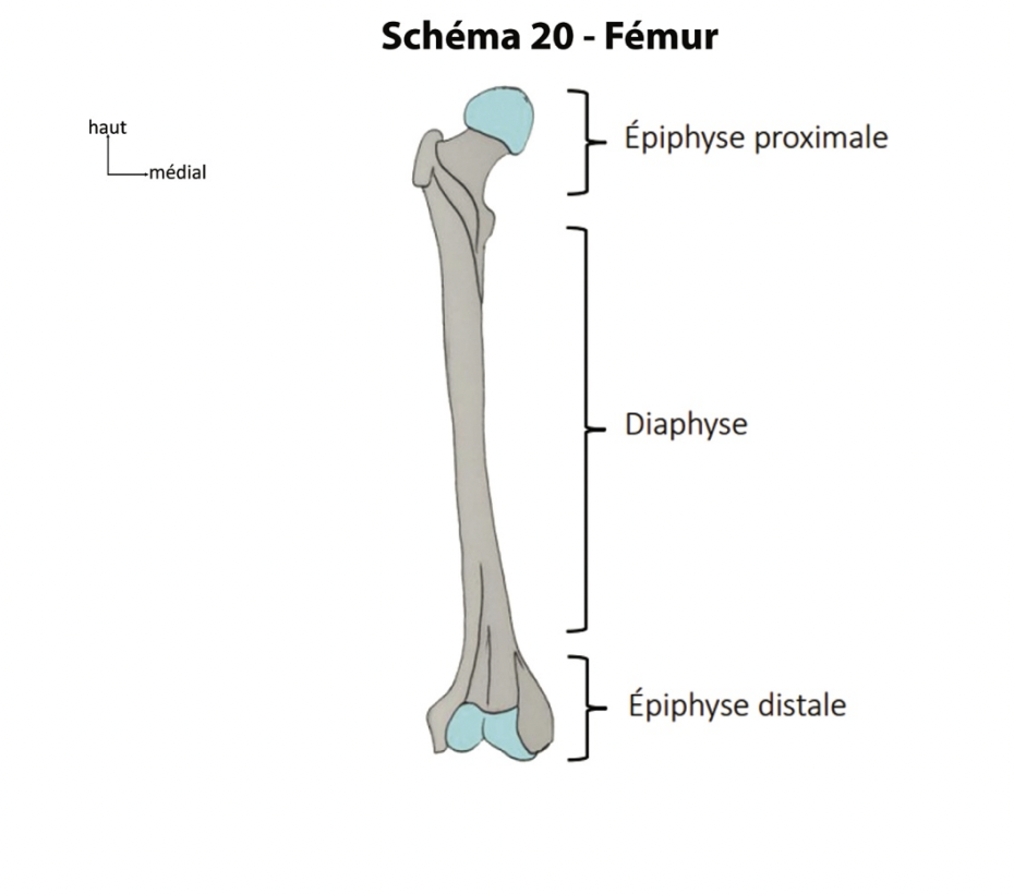 Capture d’écran 2023-04-06 à 10.08.51.png