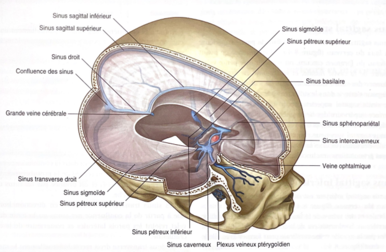 Capture d’écran 2023-04-07 134931.png