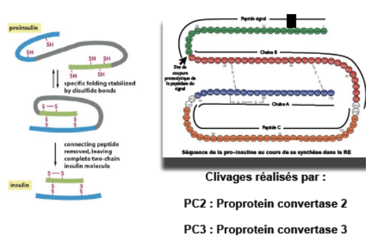 Capture d’écran 2023-04-08 à 13.57.37.png