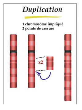 Capture d’écran 2023-04-09 à 15.27.30.png