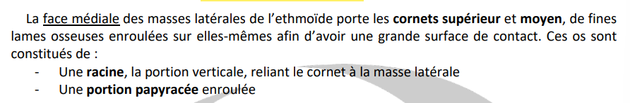 cornets.png