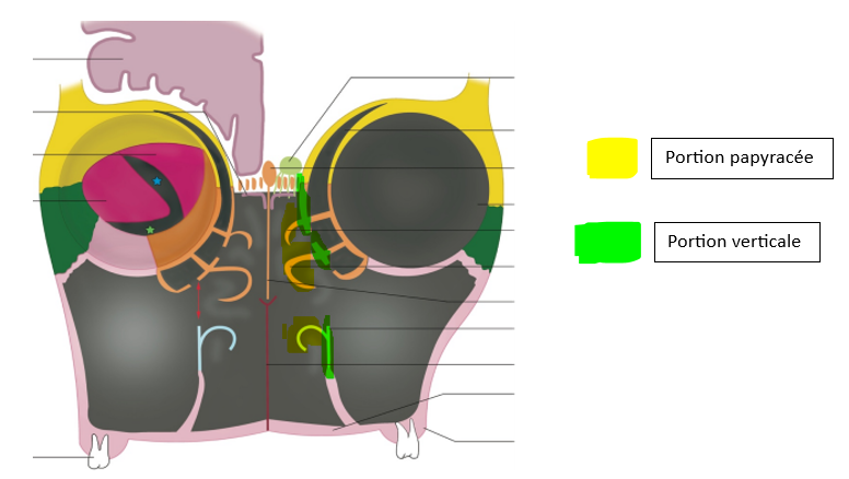 Capture d’écran modifié.png