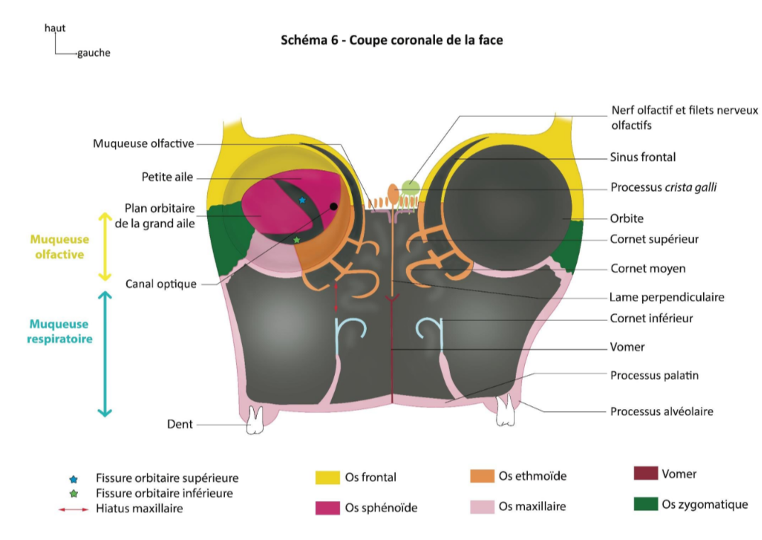 Screenshot 2023-04-20 13.47.13.png