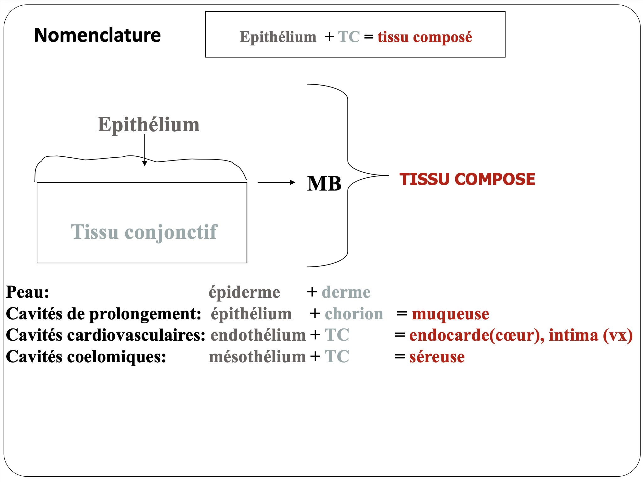 Nomenclature.png