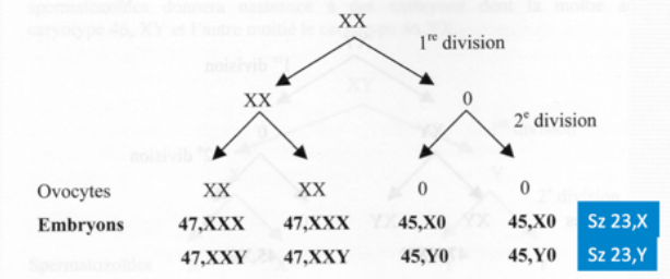 Capture d'écran 2023-04-24 113954.png