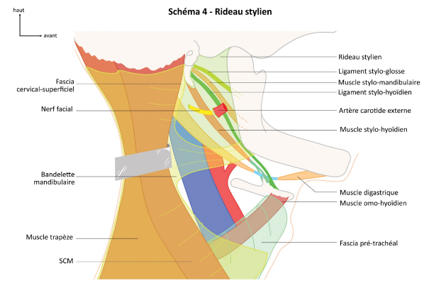 Screenshot 2023-04-26 12.30.58.png