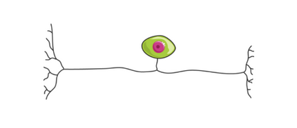 Capture d’écran 2023-04-30 à 00.04.23.png