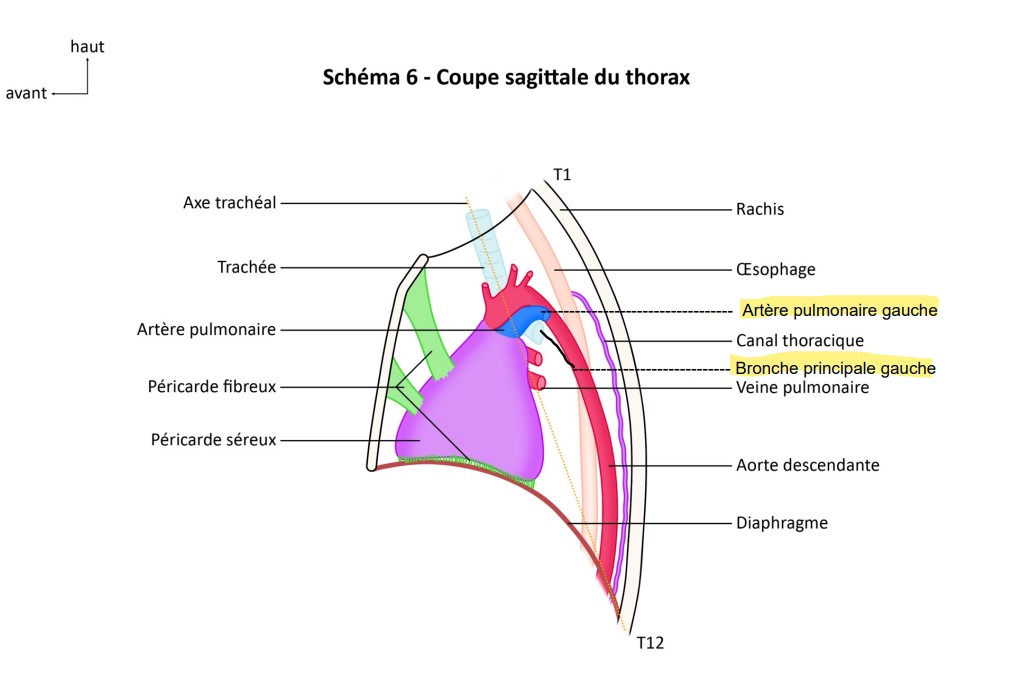 réponse 2375.jpg