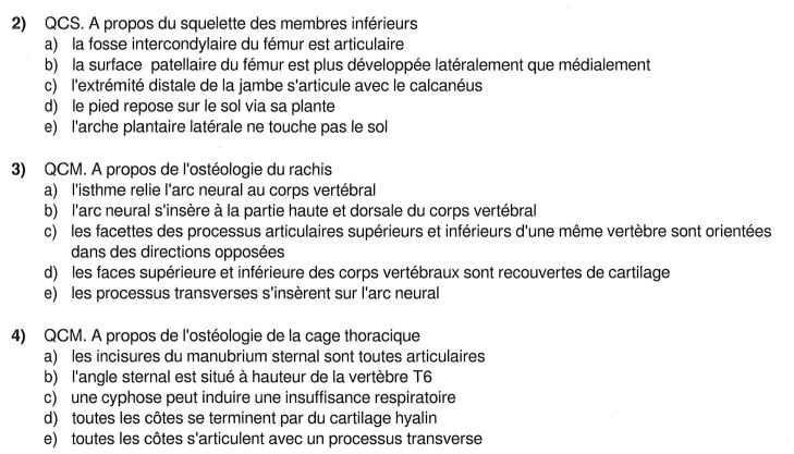 anat.PNG