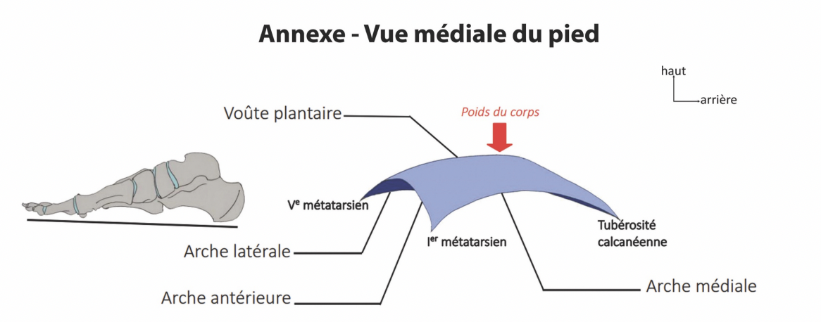 Capture d’écran 2023-05-14 à 21.49.20.png