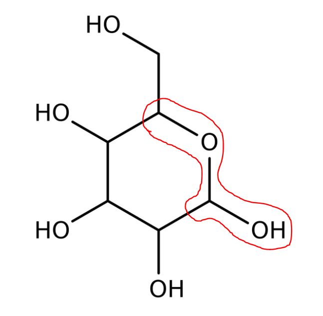 glucose hémiacétal.JPG