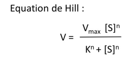 équation de Hill.JPG