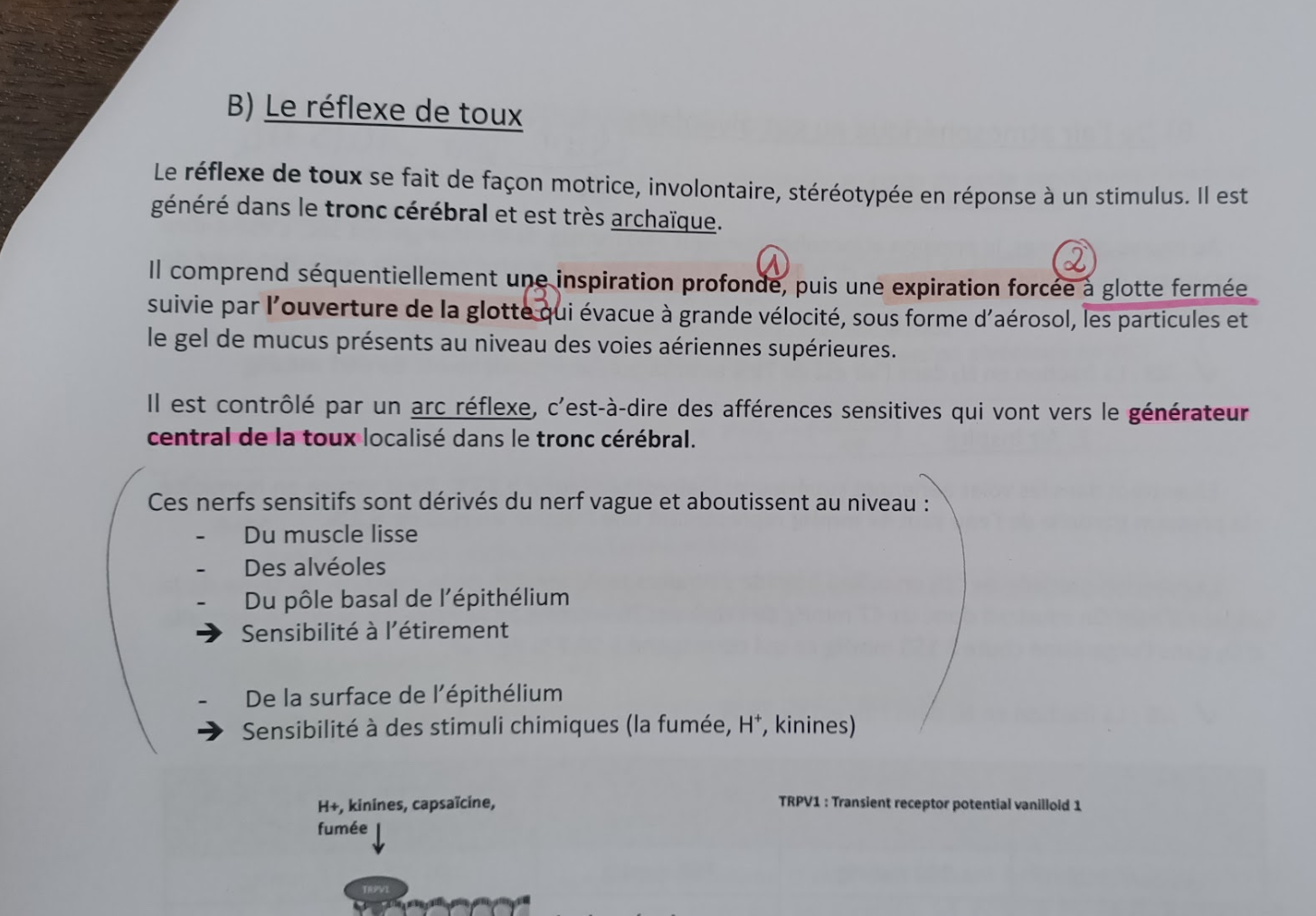 Capture d'écran 2023-12-03 163516.png