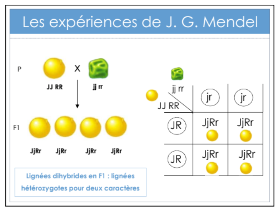 pois.PNG