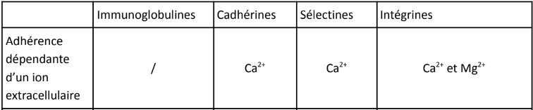 récap molec adhérence.png