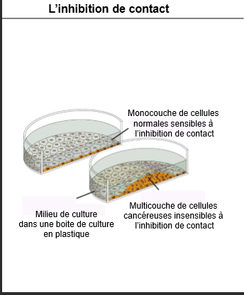 Capture d'écran 2024-02-19 104831.png