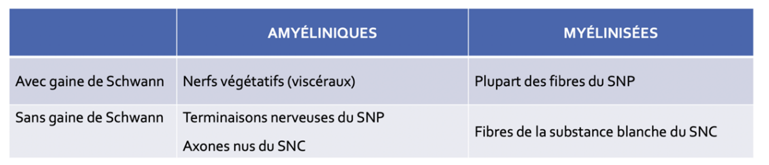 Capture d'écran 2024-02-28 190541.png