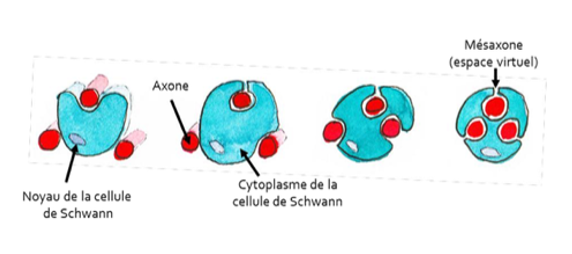 Image 2.png
