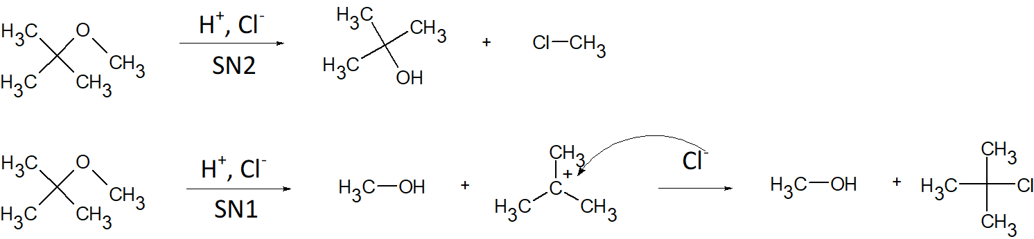 SN1.png