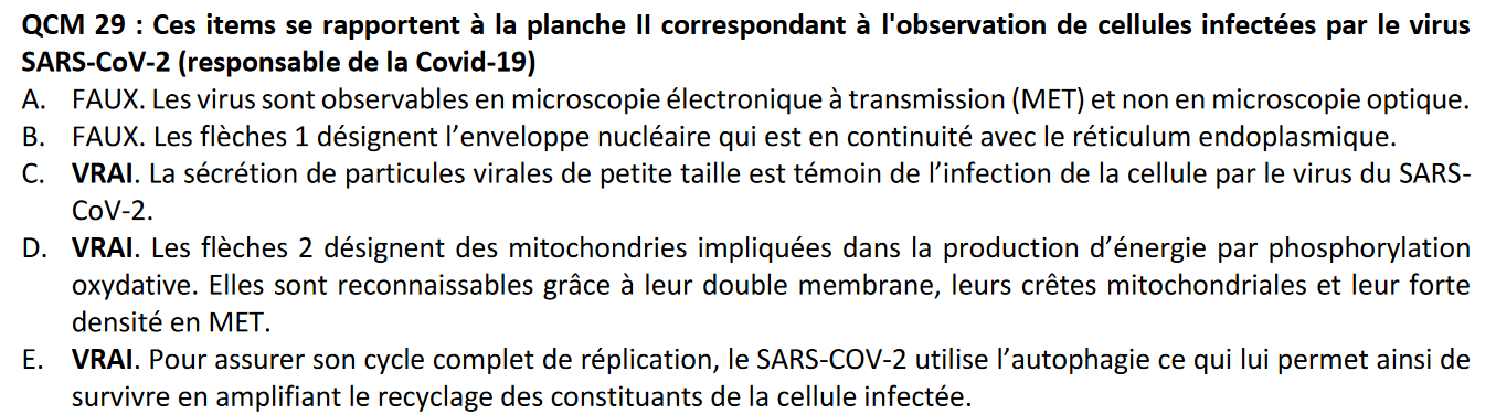 Capture d'écran 2024-03-31 170803.png