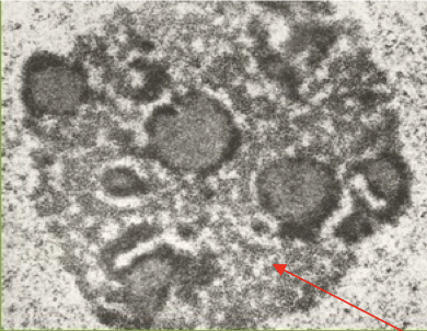 Capture d’écran 2024-04-12 à 12.37.53.png