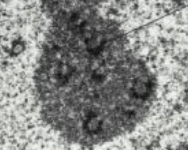 Capture d’écran 2024-04-12 à 12.38.09.png