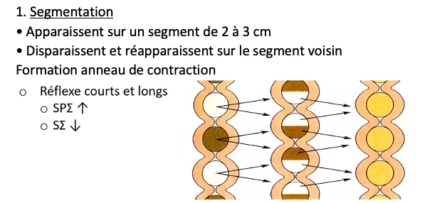 Capture d’écran 2020-11-15 à 09.41.15.png