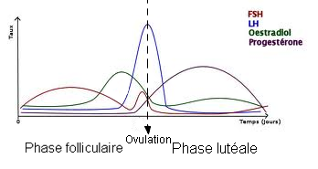 graph.png