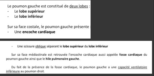 Capture d'écran 2024-04-29 103352.png