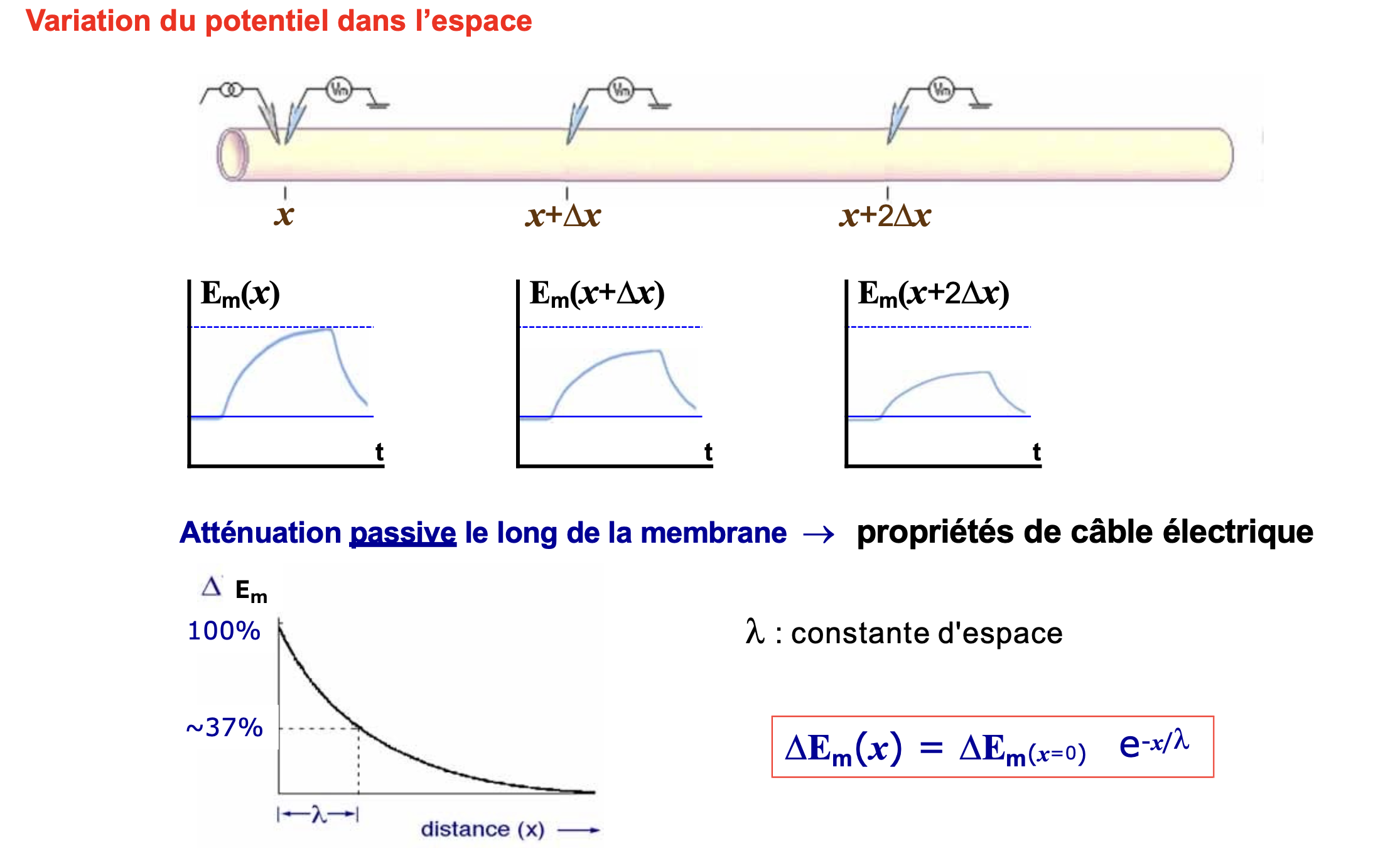 Capture d’écran 2024-12-05 à 08.39.56.png