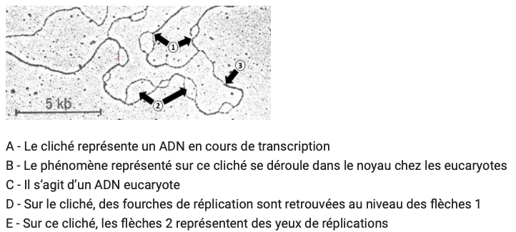 Capture d’écran 2020-11-16 à 10.39.15.png