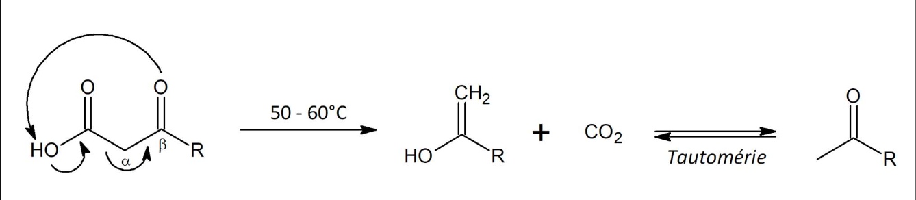 Capture d’écran, le 2024-12-09 à 21.43.00.png