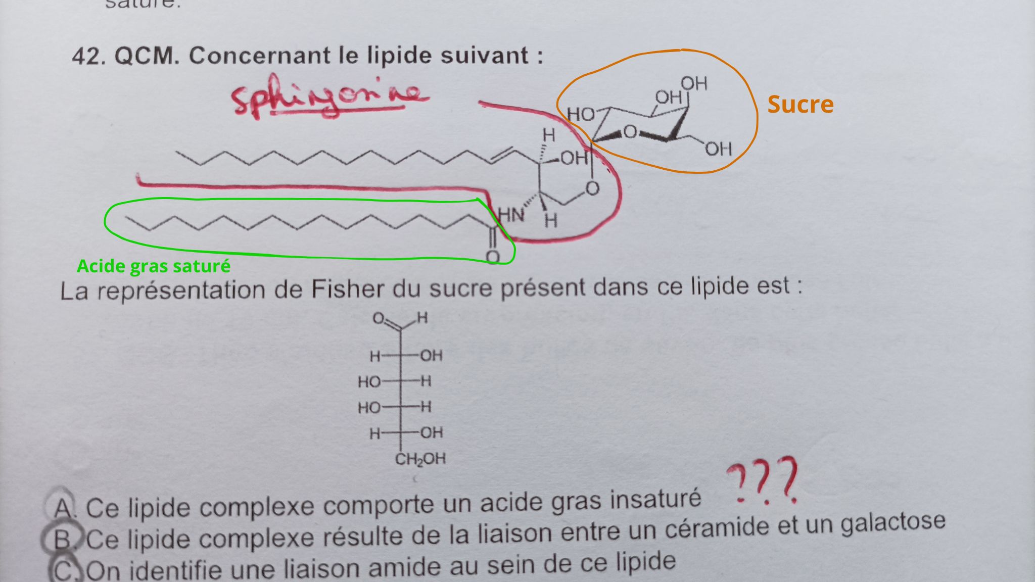 Sucre.jpg