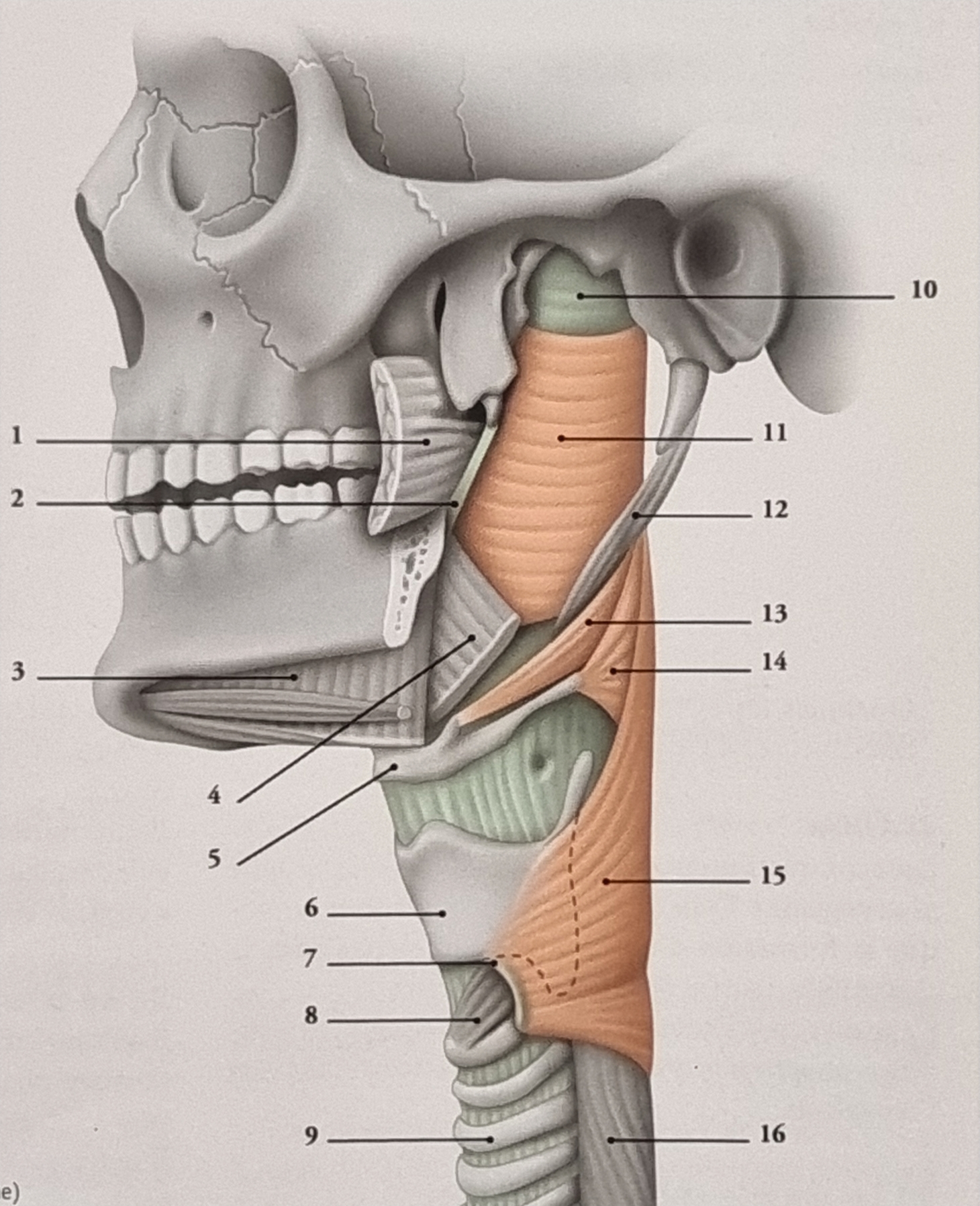 20250228_141137.jpg