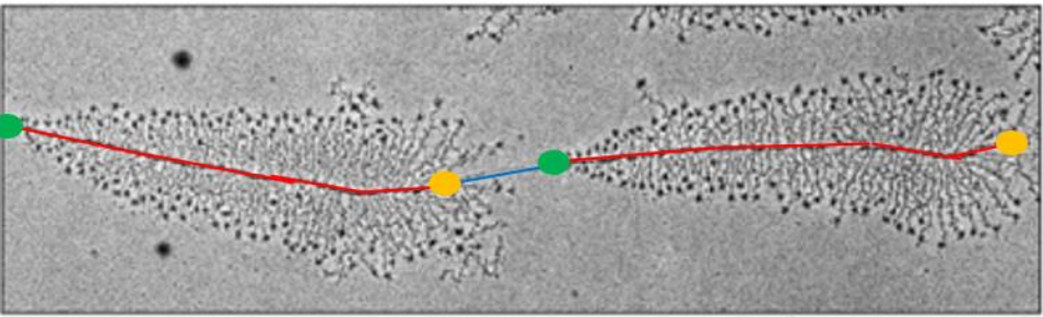 Capture d’écran 2025-03-12 à 00.54.01.png