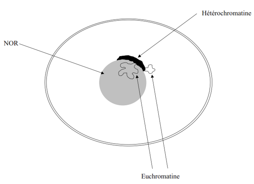 Capture d’écran 2025-03-12 à 00.55.47.png