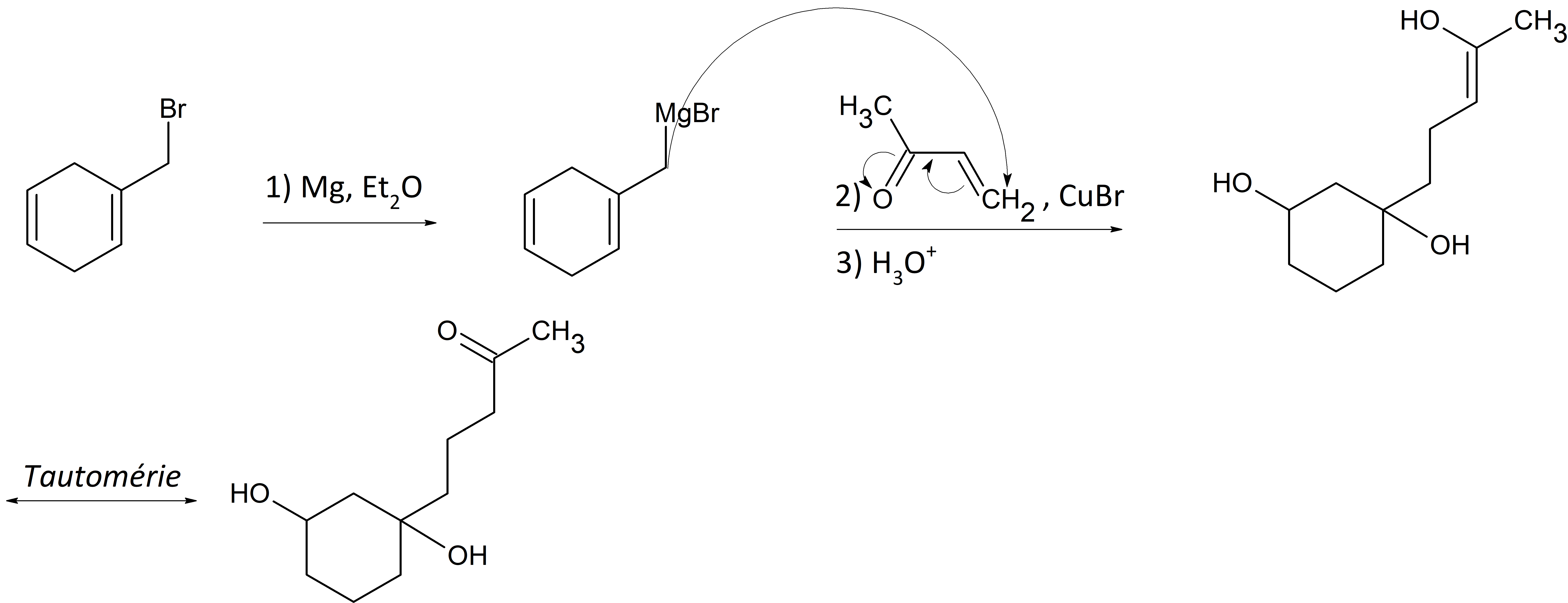 organomagnésienss.png